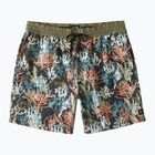Pánské plavecké šortky Billabong Coral Garden Layback multicolor
