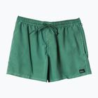Pánské plavecké šortky  Quiksilver Everyday Surfwash Volley 15 frosty spurce