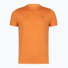 Pánské tenisové tričko Lacoste TH0004 blossom