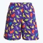 Chlapecké  plavecké šortky Fashy 26837 Small Boys