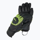 Pánské lyžařské rukavice  LEKI WCR Coach 3D black/ ice lemon