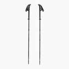 Trekové hole LEKI Sherpa FX Carbon Strong black/naturalcarbon/light anthracite