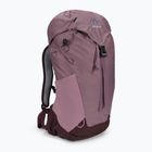 Dámský turistický batoh Deuter AC Lite SL 14 l růžový 342052155680