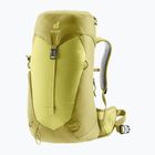 Dámský turistický batoh deuter AC Lite 22 l SL sprout/linden