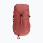 Dětský turistický batoh Deuter Climber 22 l redwood/hibiscus