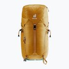 Turistický batoh  deuter Trail 24 l almond/deepsea