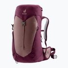 Dámský turistický batoh deuter AC Lite 22 l SL ashrose-cassis