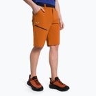Salewa pánské trekingové šortky Puez 3 orange 00-0000027401