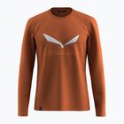 Pánské tričko Longsleeve Salewa Solidlogo Dry bombay brown