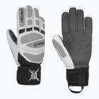 Pánské lyžařské rukavice Reusch Worldcup Warrior DG white/glacier