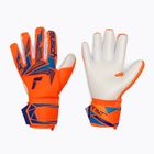 Brankářské rukavice Reusch Attrakt Freegel Advance shocking orange/blue
