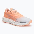 Dámské běžecké boty Puma Velocity Nitro 2 melon/white/grey