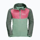 Dětská softshellová bunda Jack Wolfskin Turbulence zelená 1606385