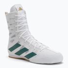 Boxerské boty Adidas Box Hog 4 cloud white/collegiate green/core black
