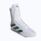 Boxerské boty Adidas Box Hog 4 cloud white/collegiate green/core black