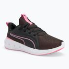 Běžecké boty PUMA Softride Carson puma black/mauved out