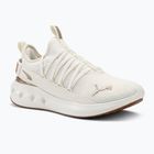 Běžecké boty PUMA Softride Carson Fresh warm white/puma gold