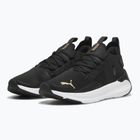 Dámské běžecké boty PUMA Softride Symmetry Fuzion puma black/puma gold