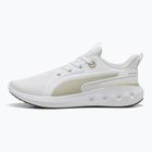 Běžecké boty PUMA Softride Carson puma white/desert dust