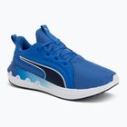 Běžecké boty PUMA Softride Carson vivid blue/puma navy