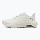 Dámské běžecké boty PUMA X-Cell Nova CAT SL warm white/puma gold