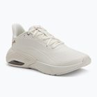 Dámské běžecké boty PUMA X-Cell Nova CAT SL warm white/puma gold