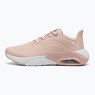 Dámské běžecké boty PUMA X-Cell Nova CAT SL rose quartz/silver mist