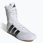 Boxerské boty adidas Box Hog Classic white