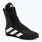 Boxerské boty adidas Box Hog 4 black/white