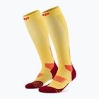 Pánské kompresní ponožky CEP Run Tall 5.0 marigold/burgundy