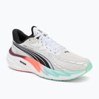 Pánské běžecké boty PUMA Velocity Nitro 4 Hyrox puma white / mint