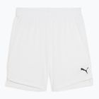 Pánské basketbalové šortky PUMA teamJAWS Starter puma white