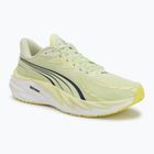 Pánské běžecké boty Puma Velocity Nitro 4 green