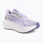 Běžecké boty Puma Maxima Pro light lavender/plum purple