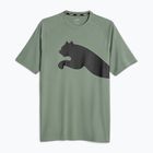 Pánské tréninkové tričko PUMA Train All Day Big Cat eucalyptus/puma black