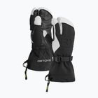 Pánské lyžařské rukavice  ORTOVOX Merino Freeride 3 Finger black