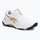 Dámské boty ASICS Netburner Ballistic FF 3 white/pure gold