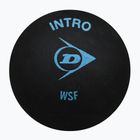 Squashové míčky Dunlop Intro 12 ks černé 700105