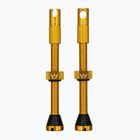 Sada ventilků Peaty's X Chris King MK2 Presta 60 mm gold