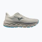 Pánské běžecké boty Mizuno Wave Horizon 9 foggy dew/dark slate/blue jewel