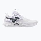 Volejbalové boty Mizuno Wave Momentum Elite white/metallic gray/black