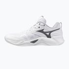 Volejbalové boty Mizuno Wave Momentum Pro white/metallic gray/black