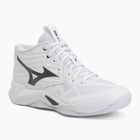 Volejbalové boty Mizuno Wave Momentum Pro Mid white/metallic gray/black