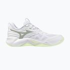 Dámské volejbalové boty Mizuno Wave Momentum Pro white/aqua gray/ambrosia