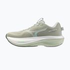 Dámské běžecké boty Mizuno Wave Rider 30 balsam green/mentholated/white