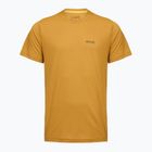 Pánské trekové tričko REGATTA Mindoi Anti Insect wood brown