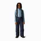 Dětské lyžařské kalhoty Dare 2b Outmove III Insulated Pant navy