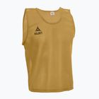 Seniorský fotbalový tréninkový kužel SELECT Basic gold