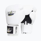 Boxerské rukavice StormCloud Blizzard white/black
