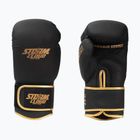 Boxerské rukavice StormCloud Boxing Pro black/gold
